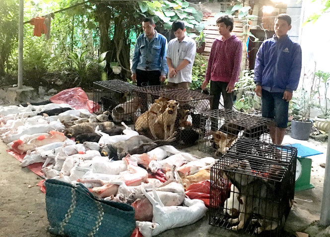 Dog theft gang busted in southern Vietnam