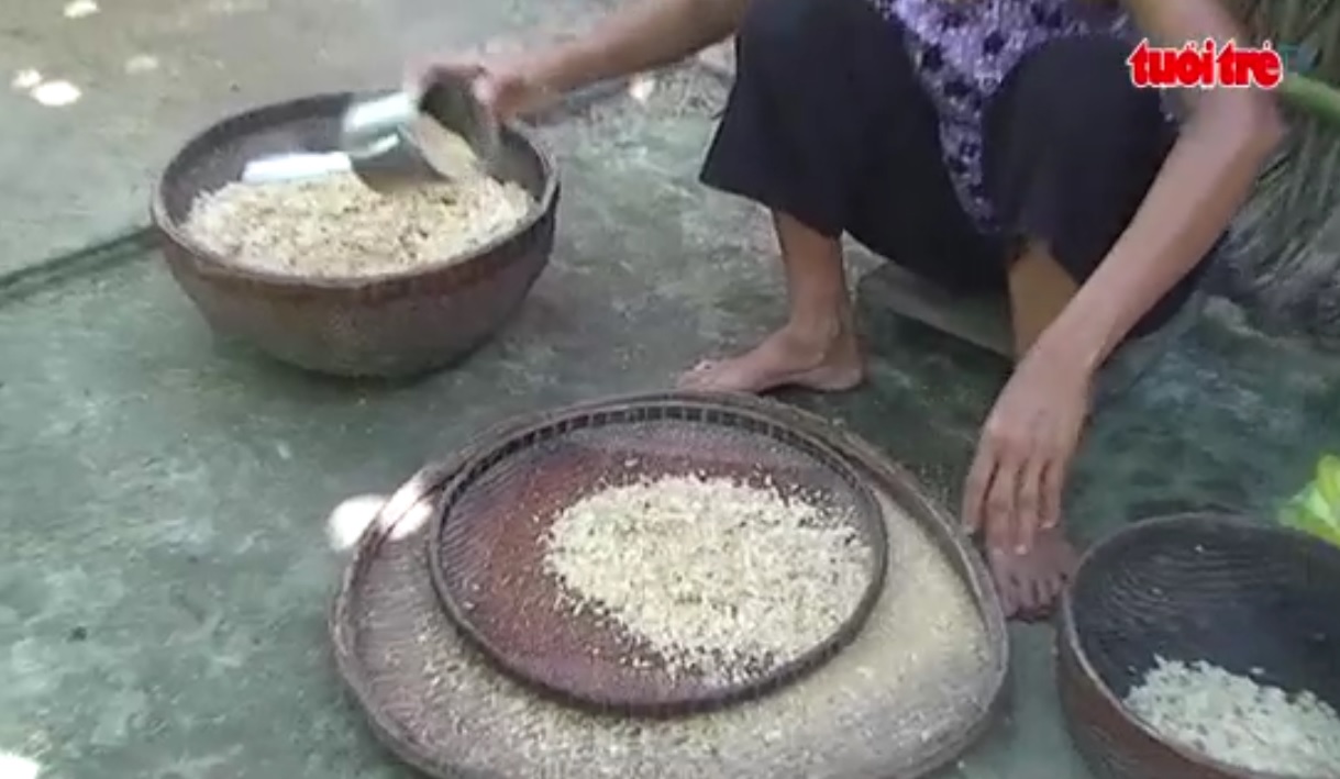 An Giang people struggle to retain tradition of making green rice