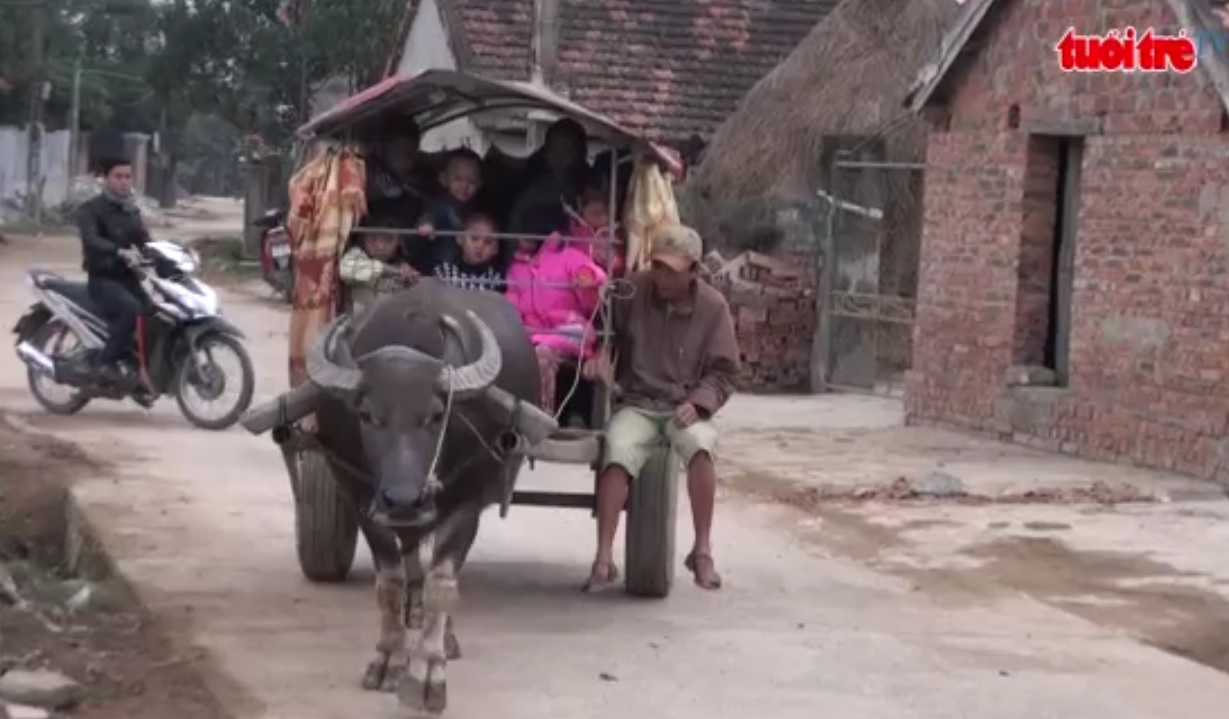 Vietnam kids hitch ride to school on buffalo-driven carriage
