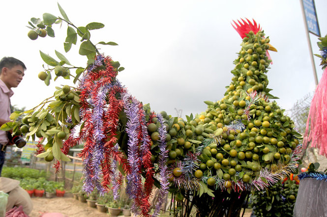 Vietnamese farmers prepare to sell rooster-shaped trees for Tet