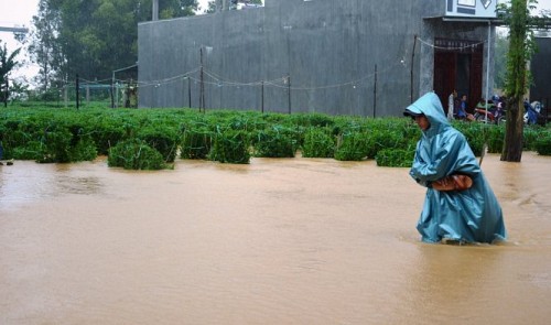 New cold spells, floods to hit northern, central Vietnam