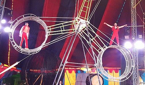 Ho Chi Minh City circus shows to feature 14 int’l performers