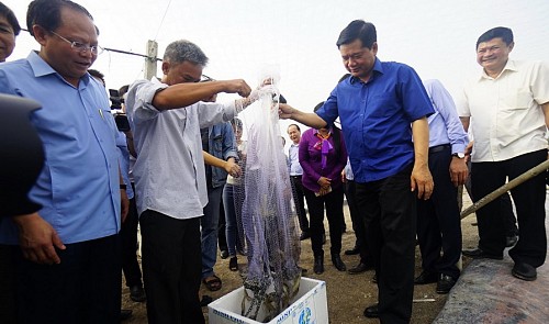 Ho Chi Minh City to provide credit for locals to produce bird nests