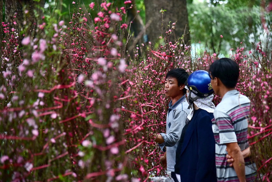 Tet flower prices surge in Ho Chi Minh City