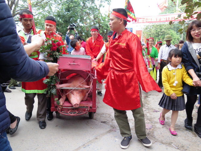 Controversial pig slaughter ceremony shies away from public eye in northern Vietnam