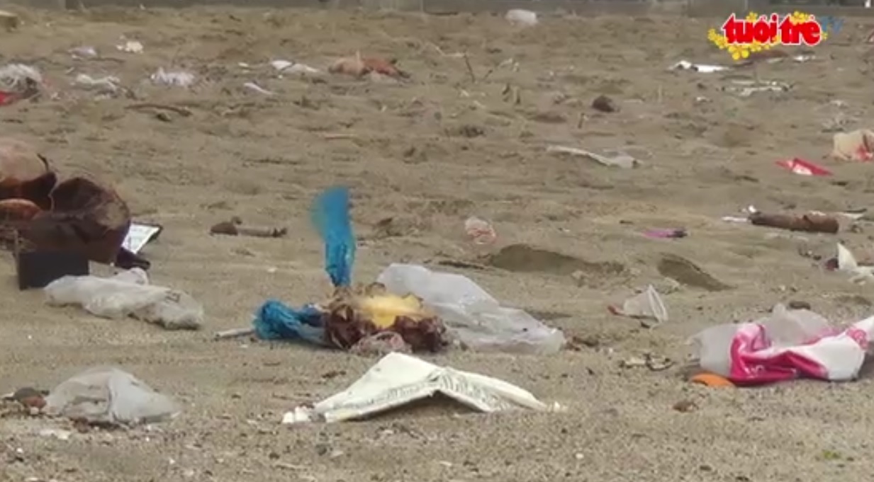 Vacationers pollute southern Binh Son Beach
