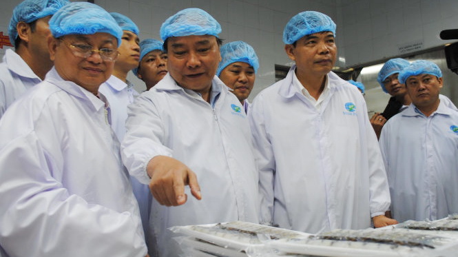 Vietnam PM ‘declares war’ on substance-injected shrimp