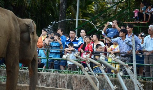 Visitor recounts terrible animal abuse during trip to Saigon zoo