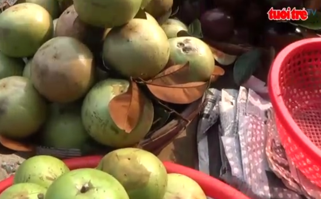 Bay Nui star apples – the tastiest in Vietnam