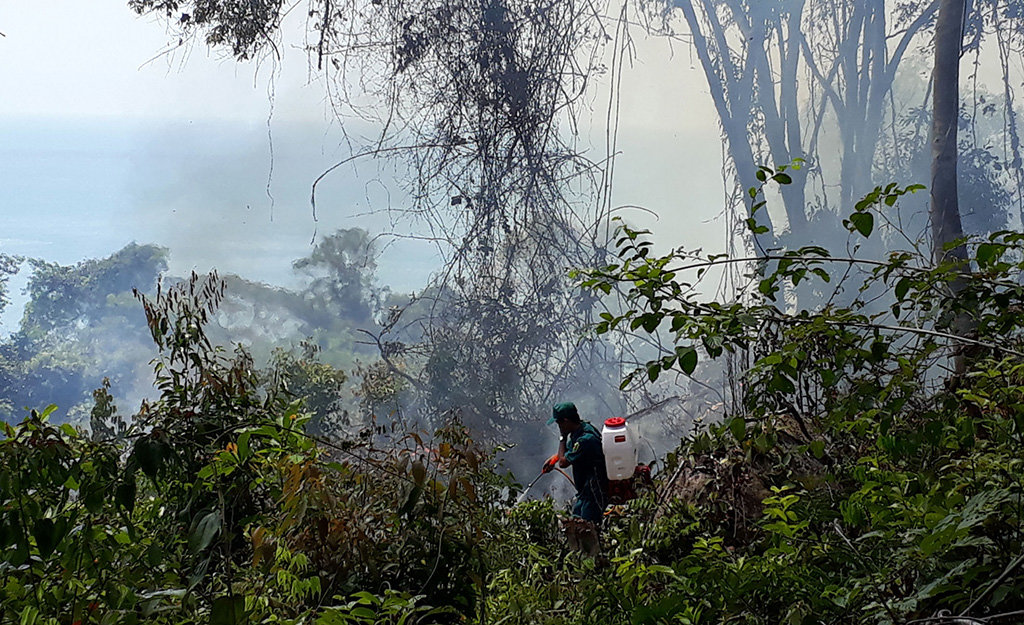 Two busted for burning forests on Phu Quoc Island