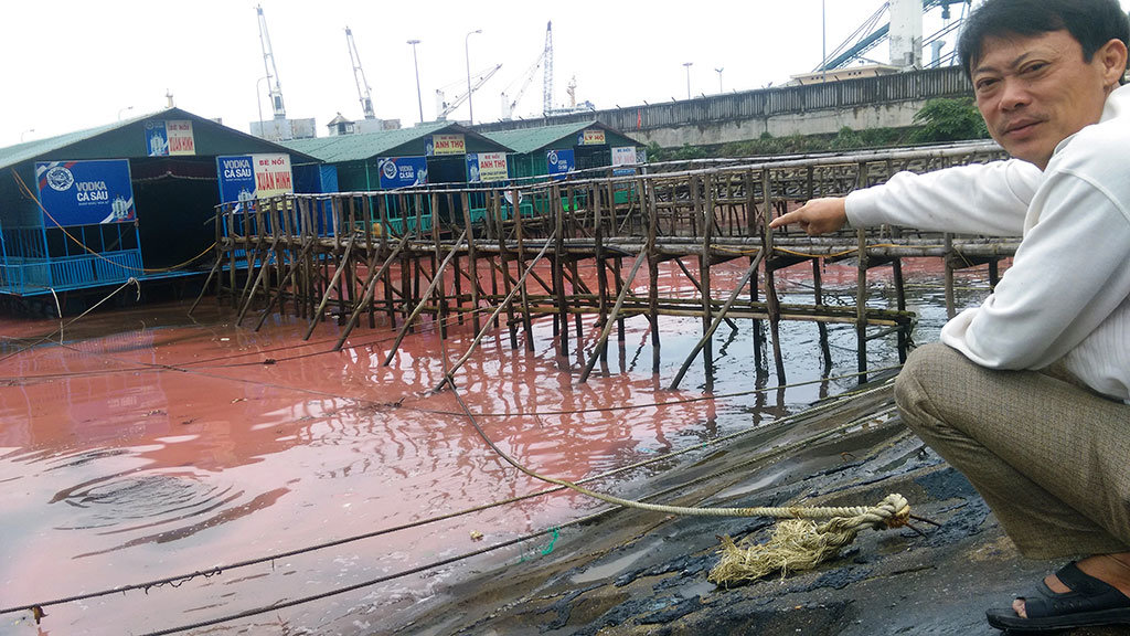 Mysterious red streak along Vietnamese coast linked to organic pollution: lab results