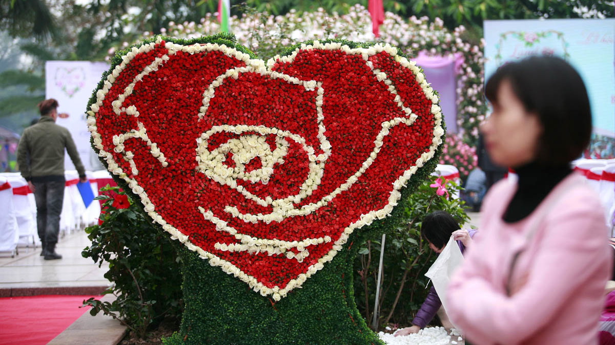 Withered flowers spoil opening day of Bulgarian rose festival in Hanoi