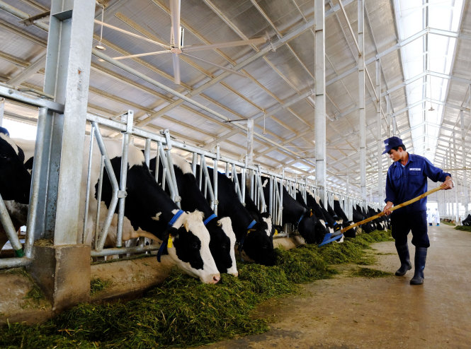 ​Vietnam’s Vinamilk invests $172m on dairy farm in Can Tho