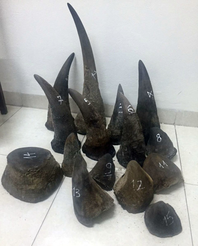 Vietnam police arrest suspects for smuggling rhino horns, elephant tusks, tiger carcasses