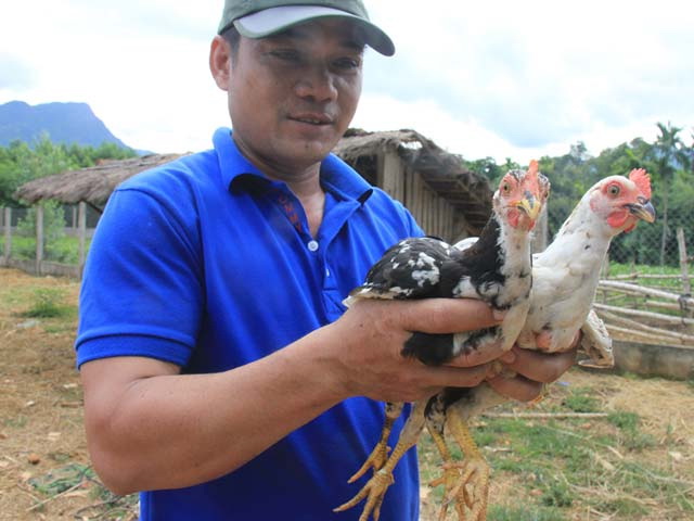 Ethnic minority, experts in Vietnam work to save indigenous fowl