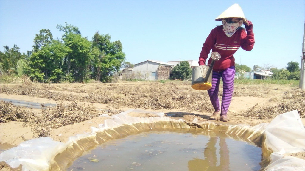 ADB-backed projects key to Vietnam’s improved water security