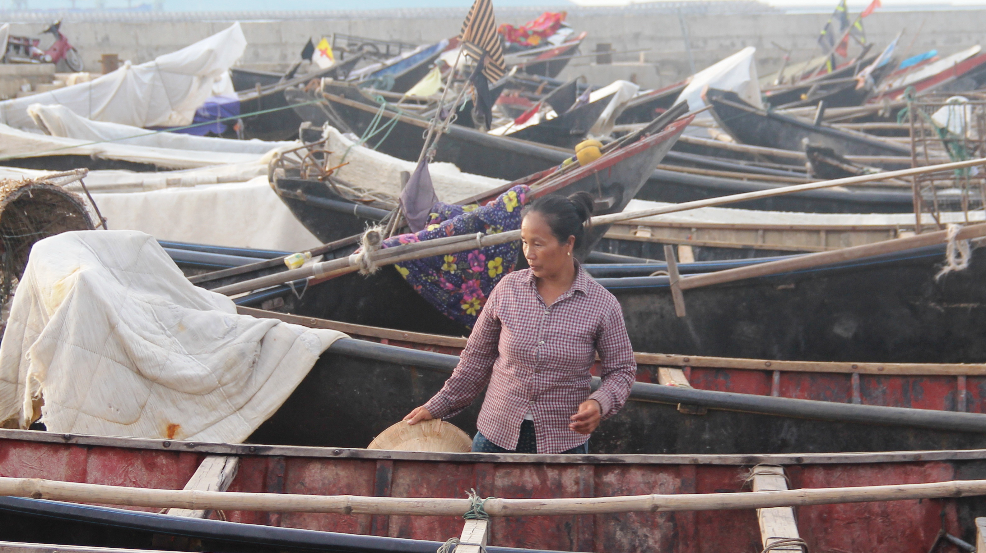 Vietnam maintains deepwater fishing ban near provinces hit by Formosa crisis