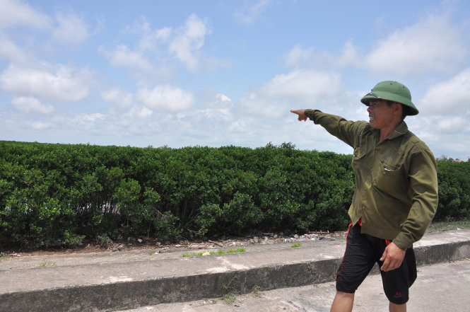 Vietnam province mulls clearing protection forest to build industrial park