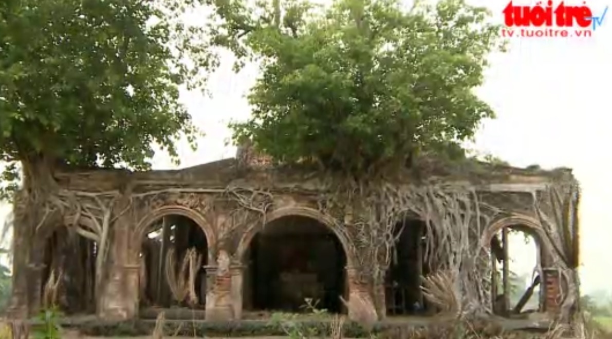 Sacred fig trees weave their way through century-old temple in southern Vietnam