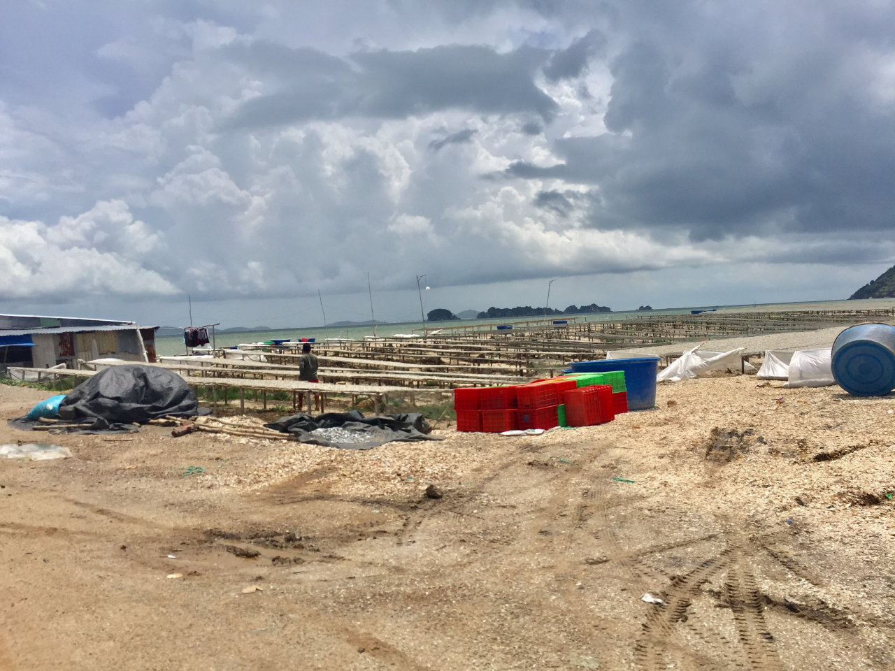 Company discovered ‘filling’ 5.3 hectares of sea in southern Vietnam