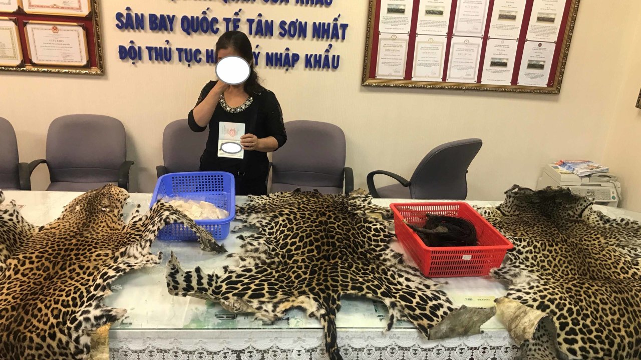 Wildlife smuggling on the rise in Vietnam