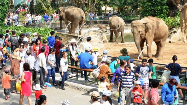 US man, two others injured in truck accident inside Saigon zoo