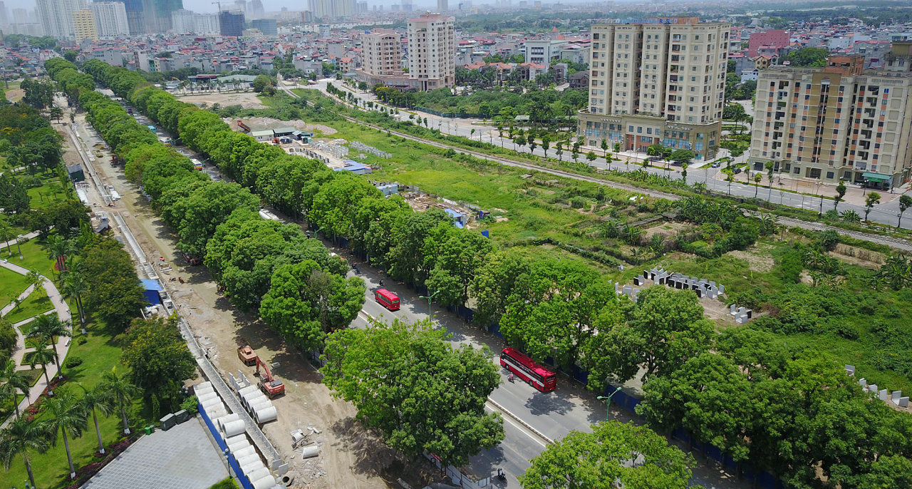 Hanoi to fell, relocate 1,300 decades-old trees