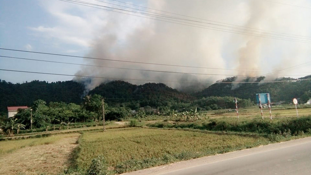 Fire engulfs protective forest in Hanoi