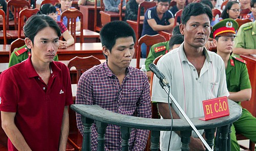 Three men jailed for shooting dead gaur in southern Vietnam