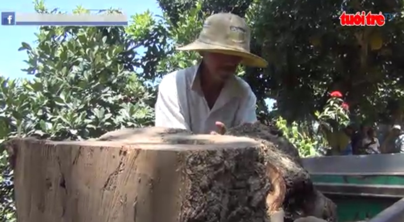60-year-old handicapped man collects wood in southern Vietnam
