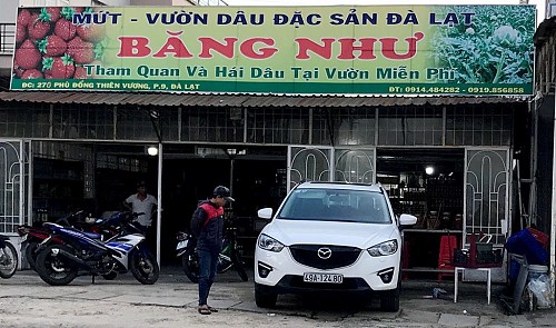 Buyer beaten for returning bottle of juice in Vietnam’s Da Lat