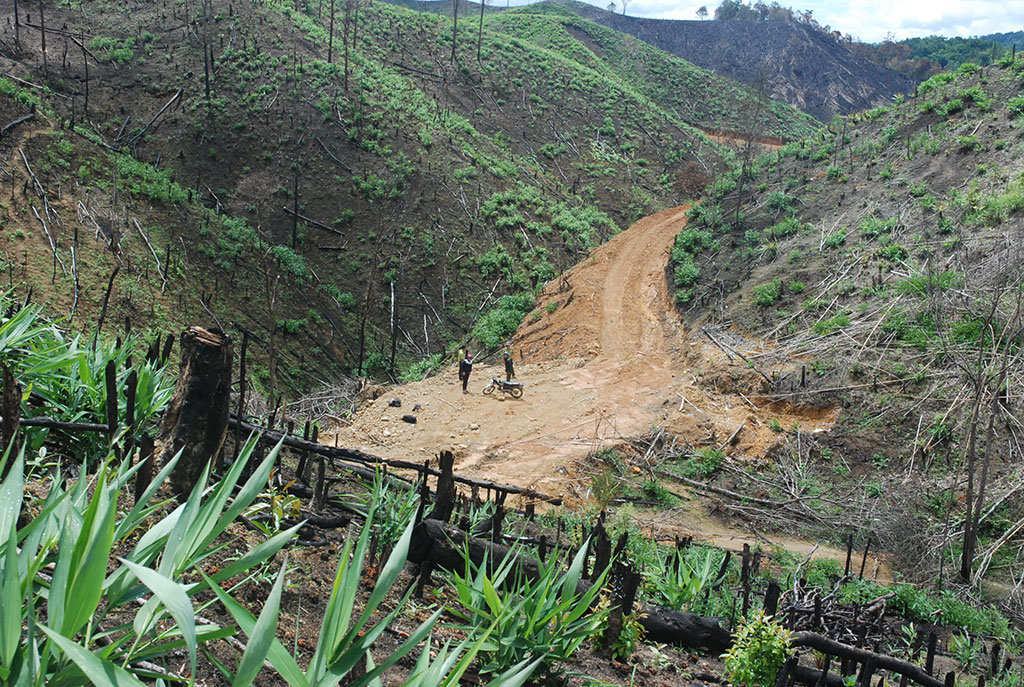 Deforestation haunts Vietnam’s Central Highlands