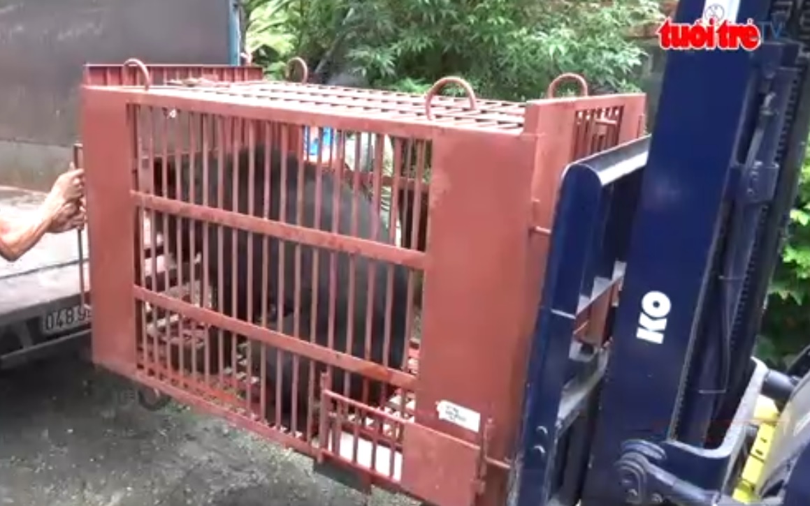 Vietnamese woman donates 9 bears to Tam Dao Bear Sanctuary