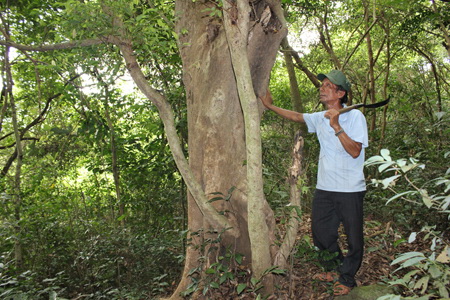 65-year old war vet continues to protect forests in central Vietnam