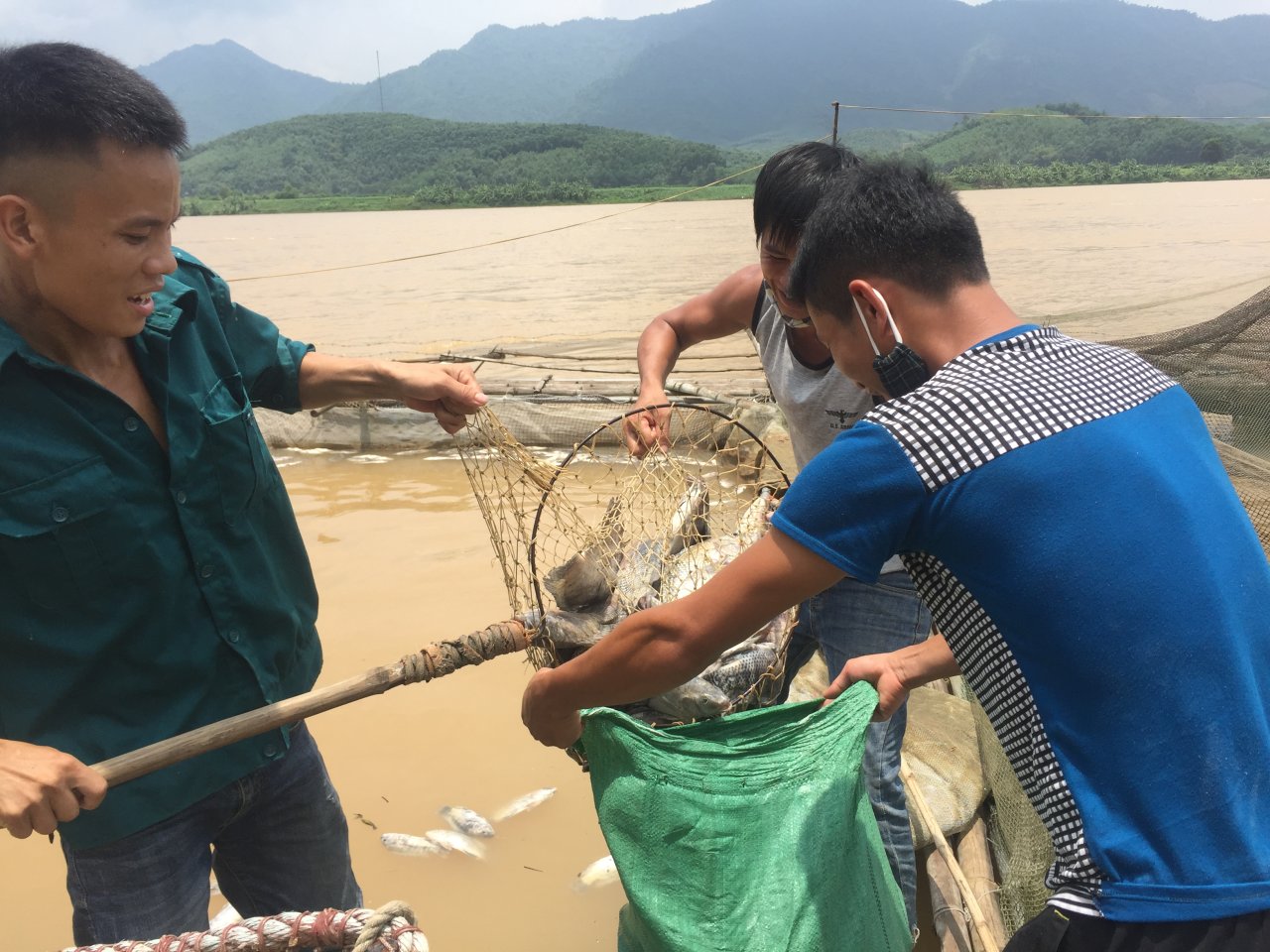 Hydropower plant water discharge kills fish en masse in northern Vietnam