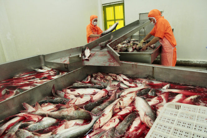 Vietnam catfish exporters worry as US applies tougher inspection procedures