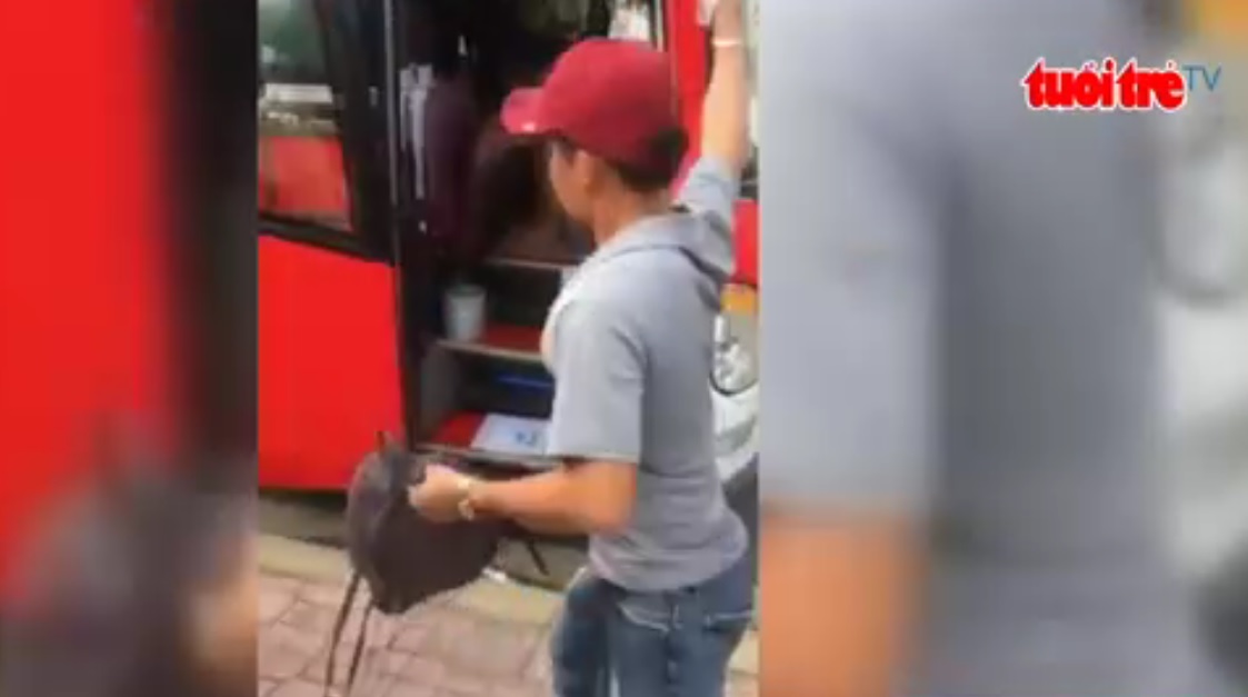 Coach attendant yells at foreign tourists, throws luggage in Nha Trang