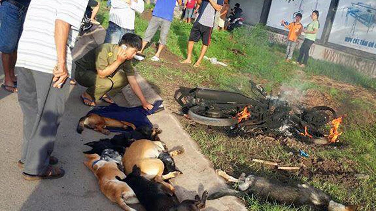 Locals beat dog thieves, burn motorcycle in southern Vietnam