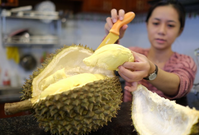 Vietnamese farmers apply technology to growing durians with heart