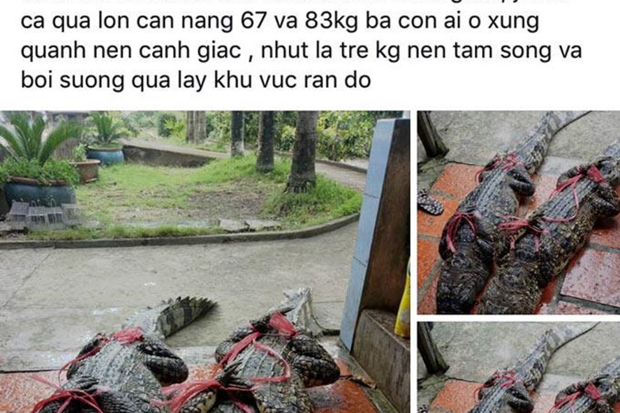 ​Vietnamese man fined for posting fake news to Facebook