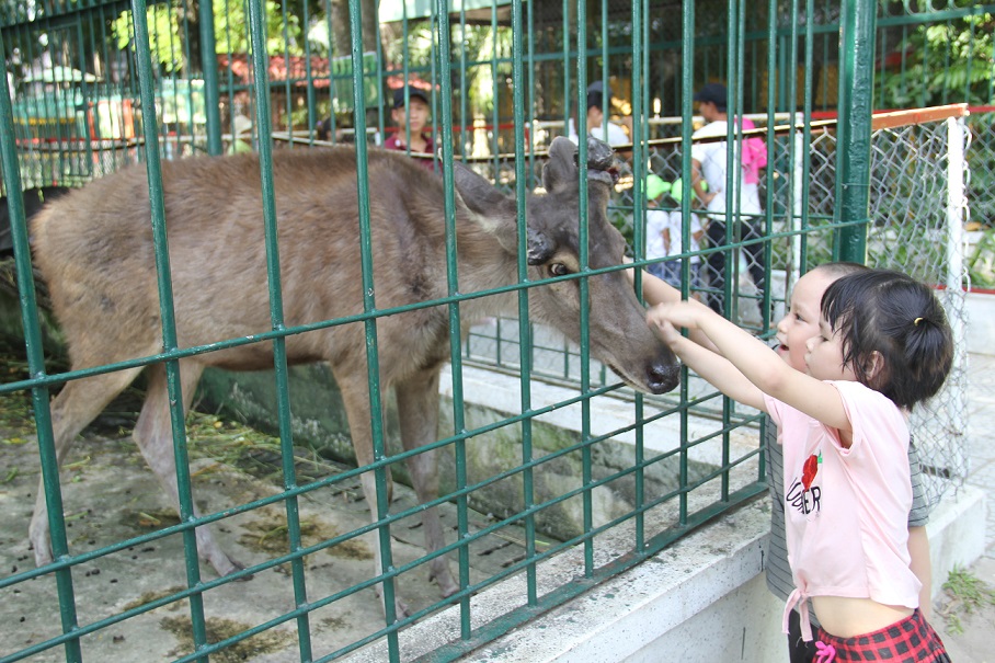 ​Da Nang park seeks permission to shut down zoo