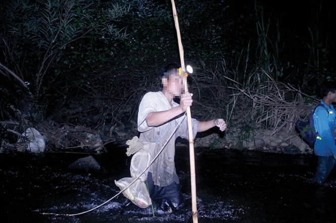 Snake-hunting rampant in protected Vietnamese forest