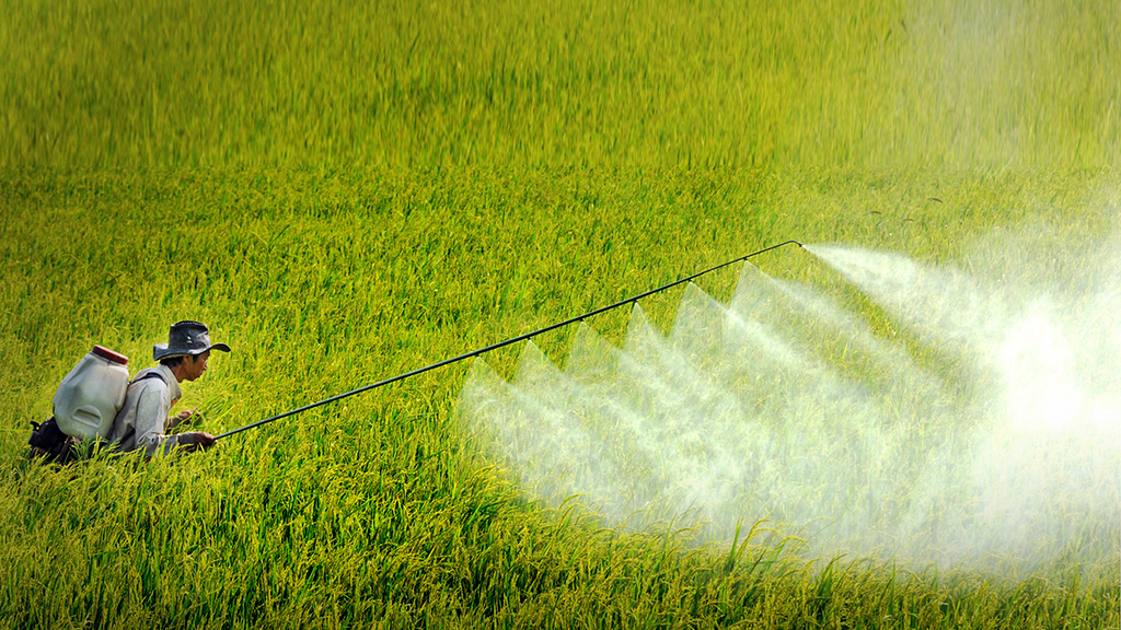 ​Vietnam losing control of excessive pesticide use