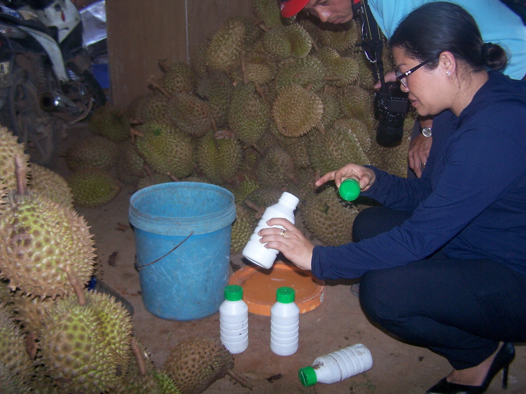 ​Durian wholesaler caught soaking fruit in ripening agent in Vietnam