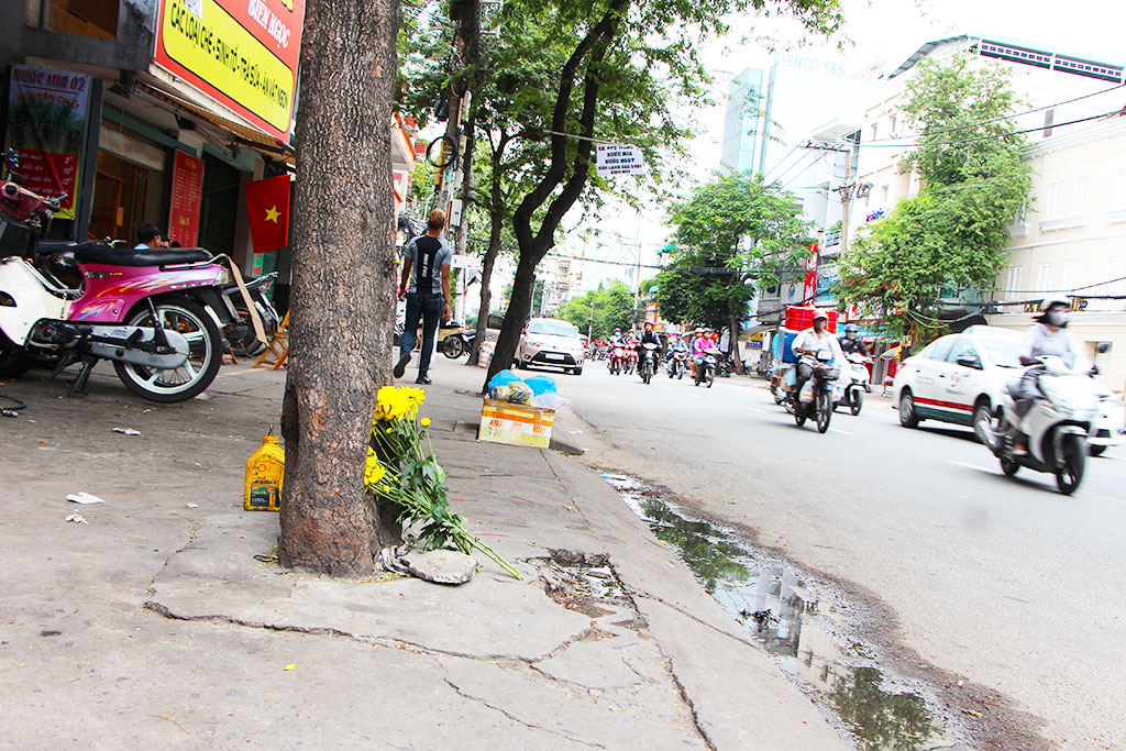 ​Green trees neglected in Ho Chi Minh City