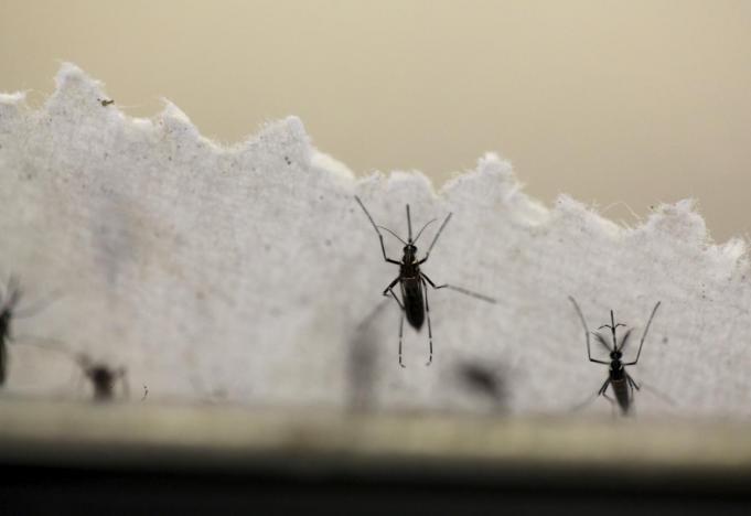 ​Vietnam’s Vinh Long Province reports first Zika case