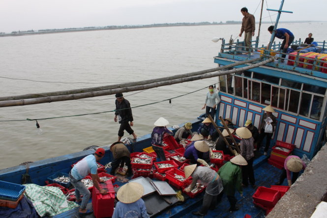 Vietnamese seafood may be excluded from European market as EU considers ‘yellow card’