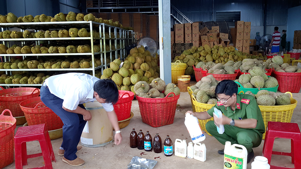 Vietnam facility given fine, 4-month suspension for chemically ripening durians 
