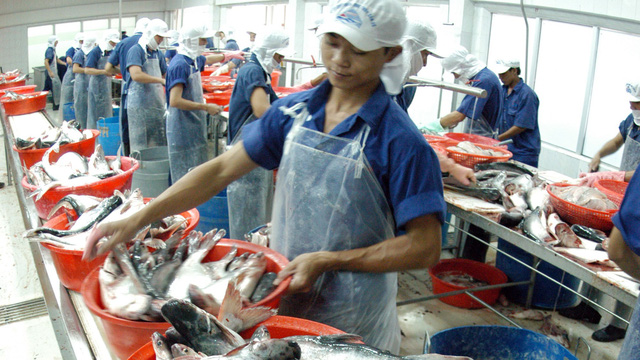 ​Vietnam’s seafood ‘yellow carded’ by European Commission