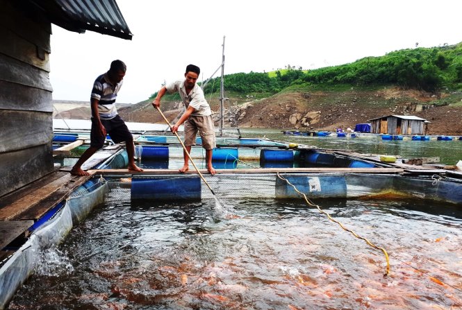 ​​Fish farmers’ floating life on hydropower lake in central Vietnam  